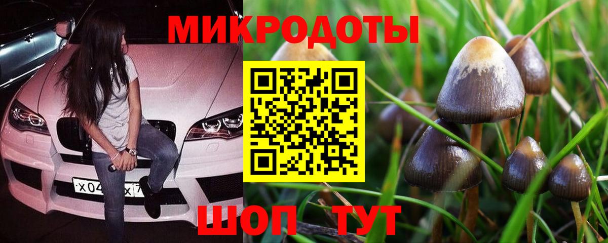 Галлюциногенные грибы Psilocybe  Вход с VPN  Псилоцибиновые грибы Psilocybine cubensis  Архангельск 